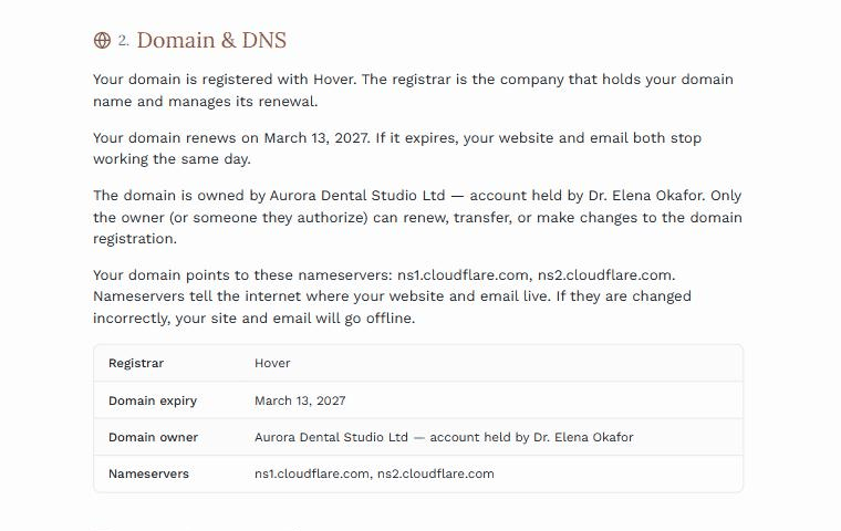 The Domain and DNS section of a client manual, with plain-language paragraphs above a table of registrar, expiry, owner, registrar access, nameservers and where DNS is managed.
